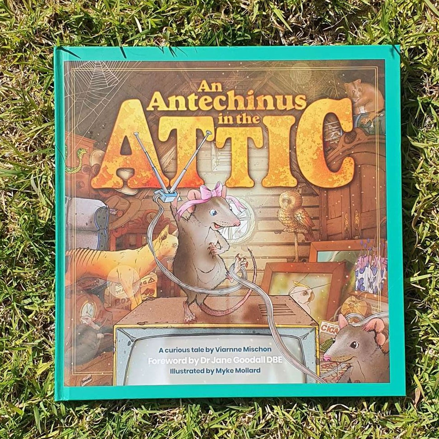 Book - An Antechinus in the Attic
