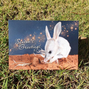 Season's Greetings Christmas Bilby Card