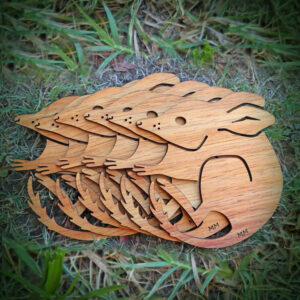 Bilby Coasters - 6 pack