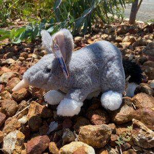 Bilby Plush - Dinki Di