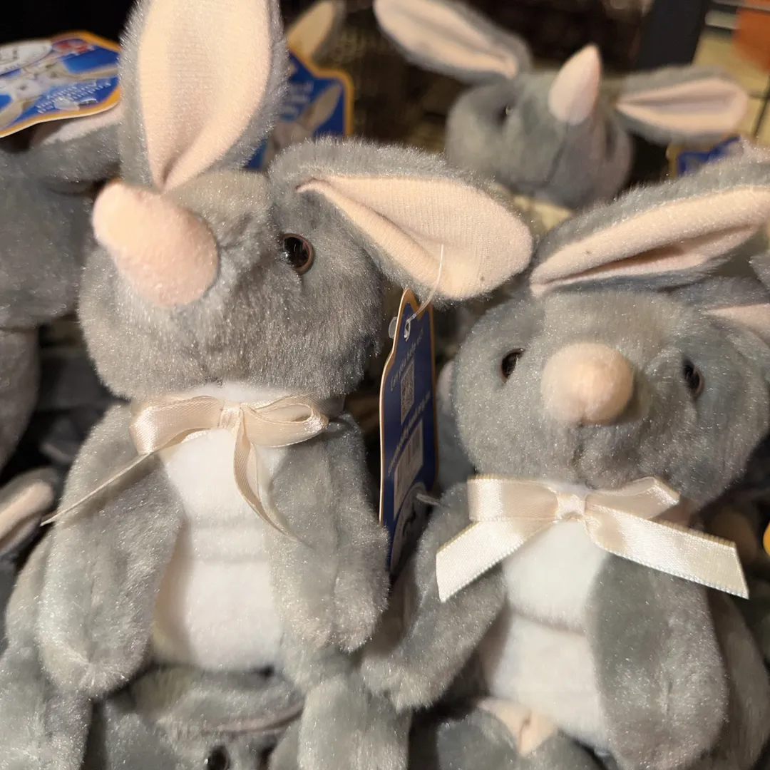 Bilby Plush Toy - Small - Image 2