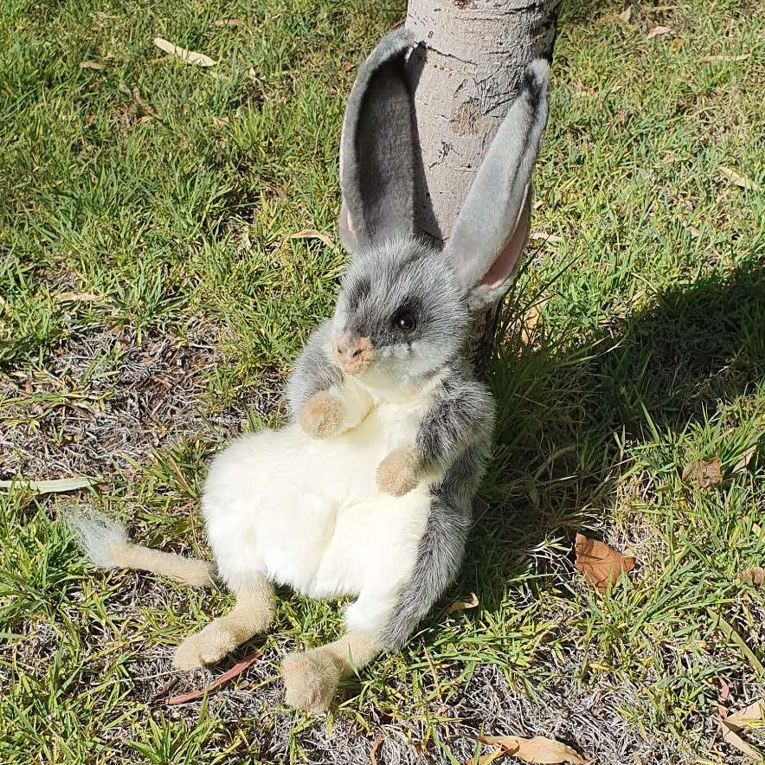 Beautiful Bilby Puppet
