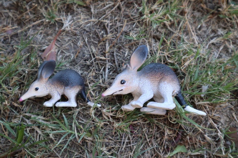 Cute Plastic Bilby - Image 2