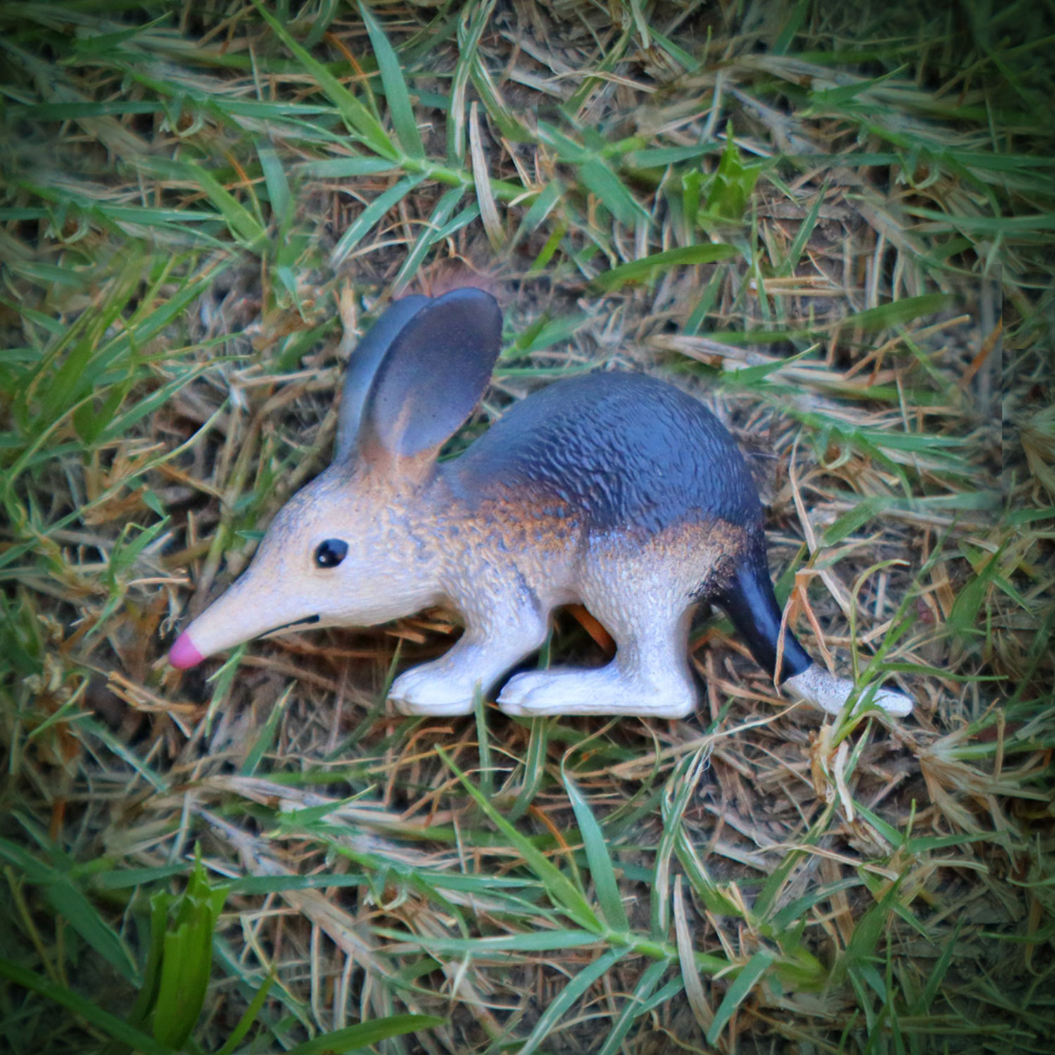 Cute Plastic Bilby