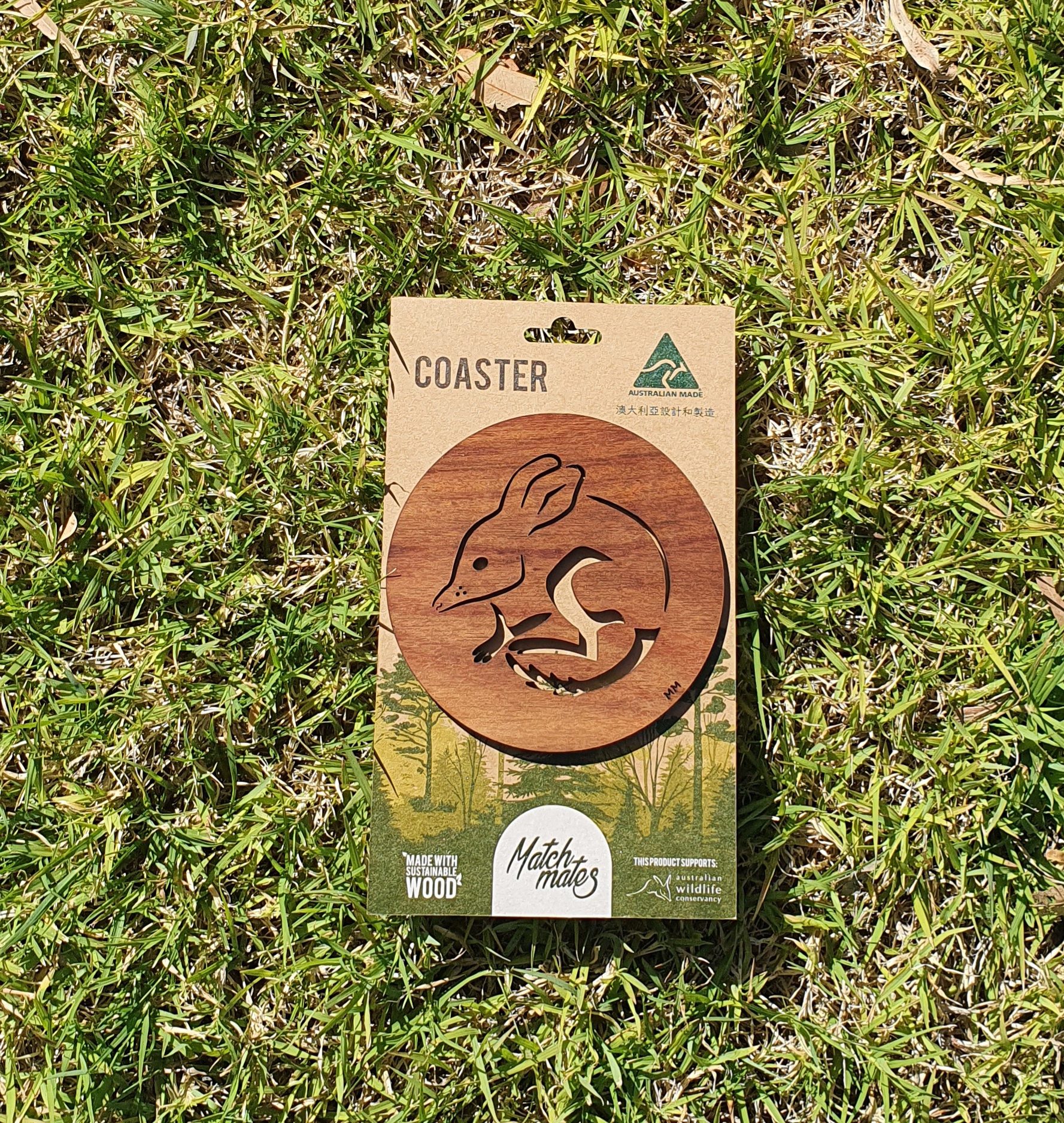 Bilby Coaster