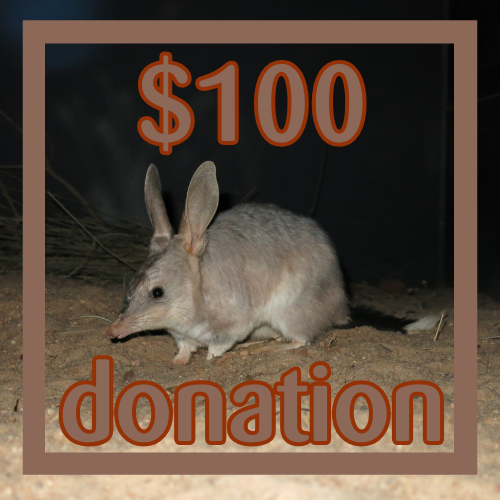 $100 Donation