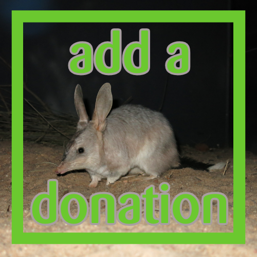 ADD ON Donation - do not purchase alone