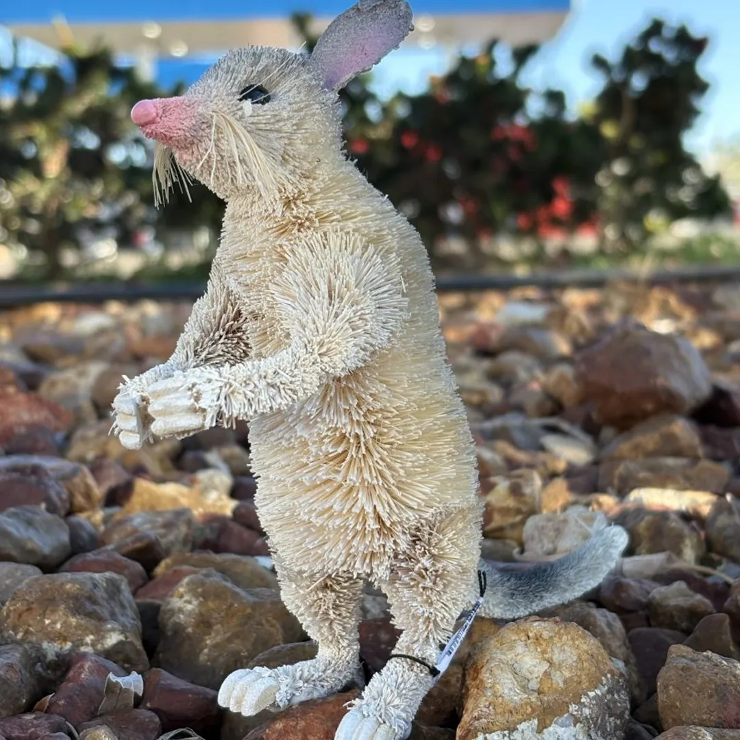 15 cm Standing Bilby - Eco Buddy for Your Desk or Shelf