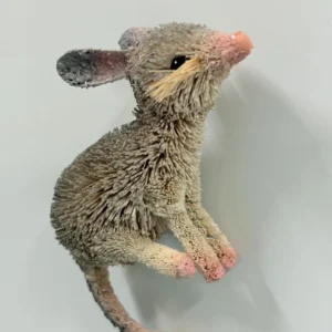 Bilby Magnet - Cute, Aussie & Eco-Friendly!