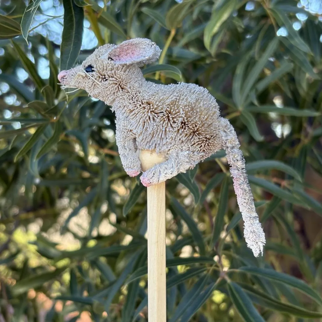 Bilby Pencil – Eco-Friendly Aussie Charm - Image 5