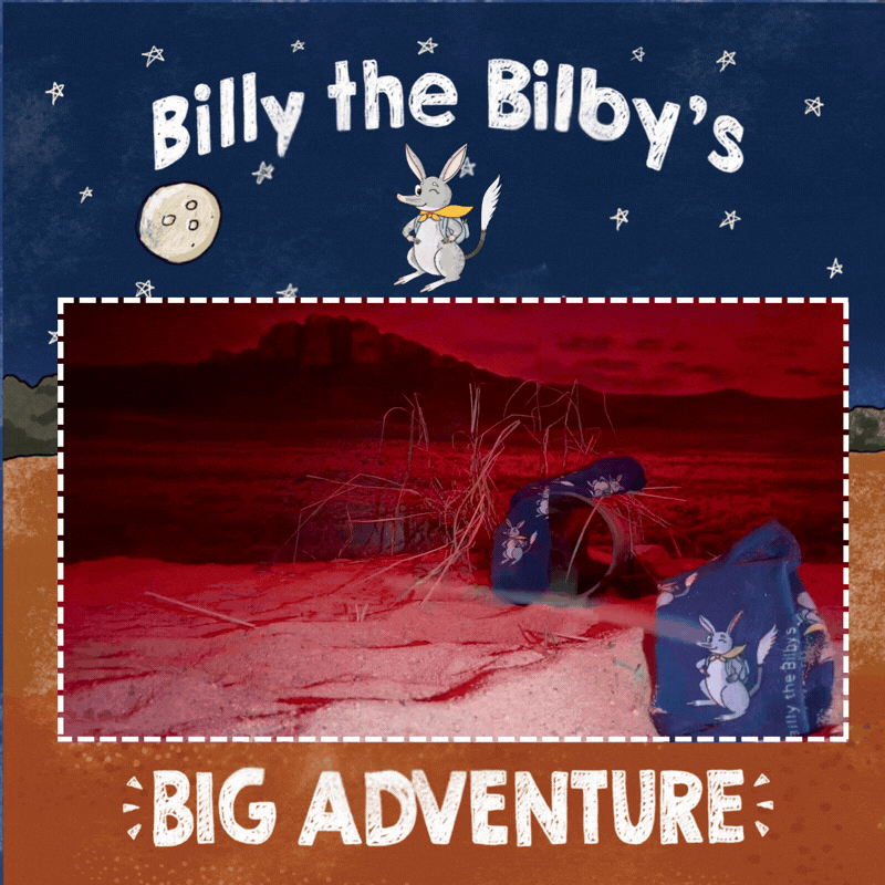 Billy the Bilby Socks - Image 3